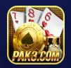 PAK3 GAME
